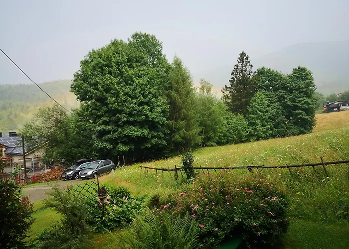 Sambor - * שצ'צ'ירק